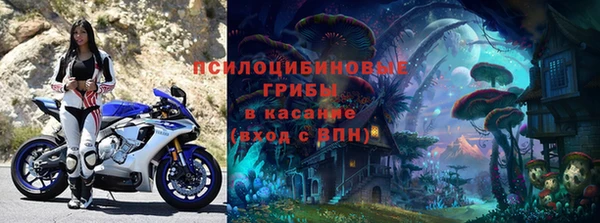 трава Покачи