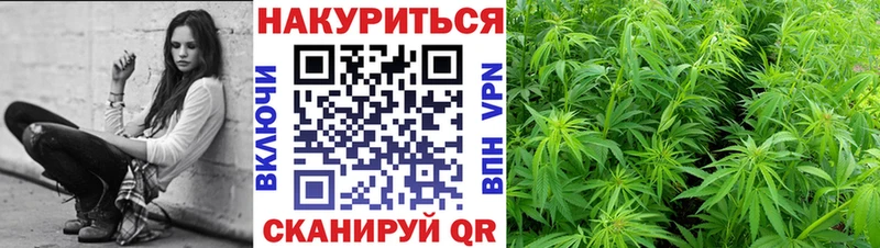 Бошки марихуана индика  нарко площадка наркотические препараты  Новопавловск 